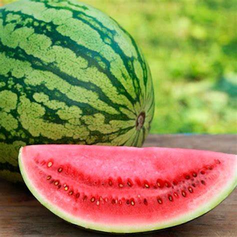 Crimson Sweet Watermelon Seeds