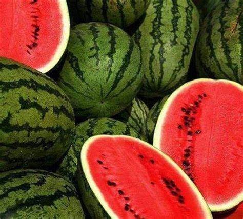 Jubilee Watermelon Seeds