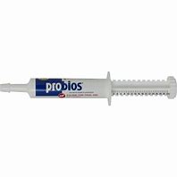 PROBIOS EQUINE ORAL GEL TUBE