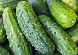 SPACEMASTER CUCUMBER 1oz