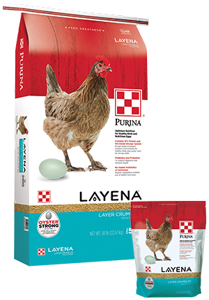 PURINA LAYING CRUMBLES 50 lbs