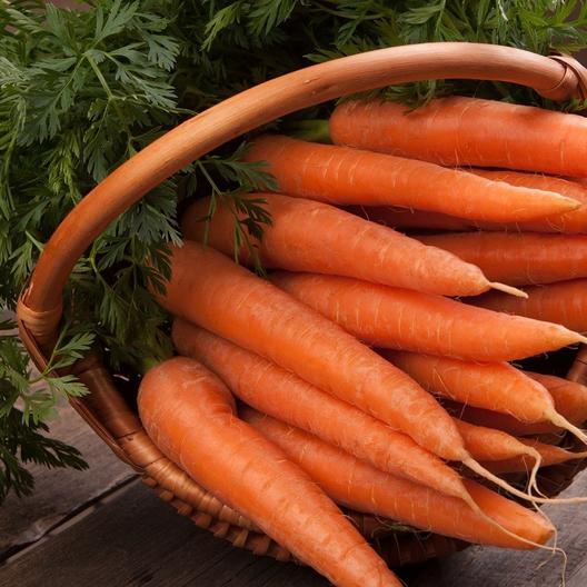Danvers Carrot Seeds