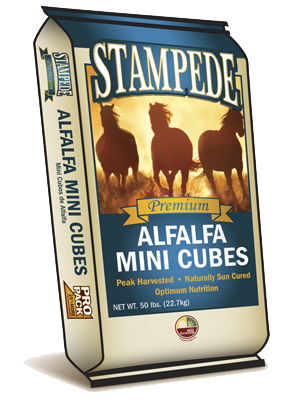50lb Stampede Alfalfa Mini Cubes
