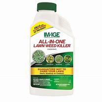 IMAGE ALL IN ONE LAWN WEED KILLER 24 OZ CONCENTRATE