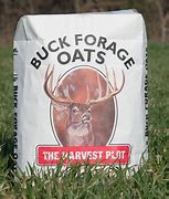 BUCK FORAGE OATS 50 lbs