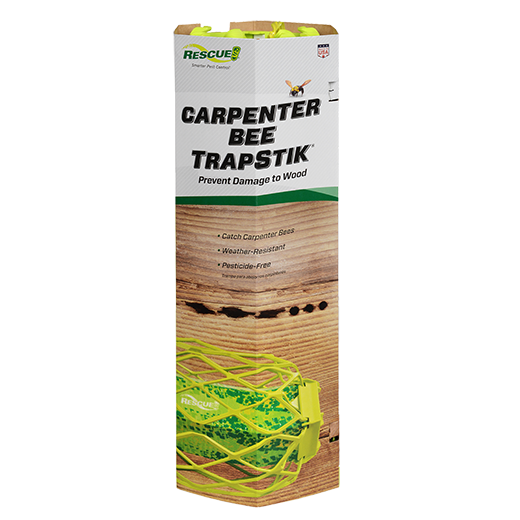 Carpenter Bee TrapStik