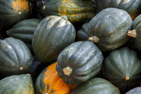 Table Queen Acorn Squash Seeds