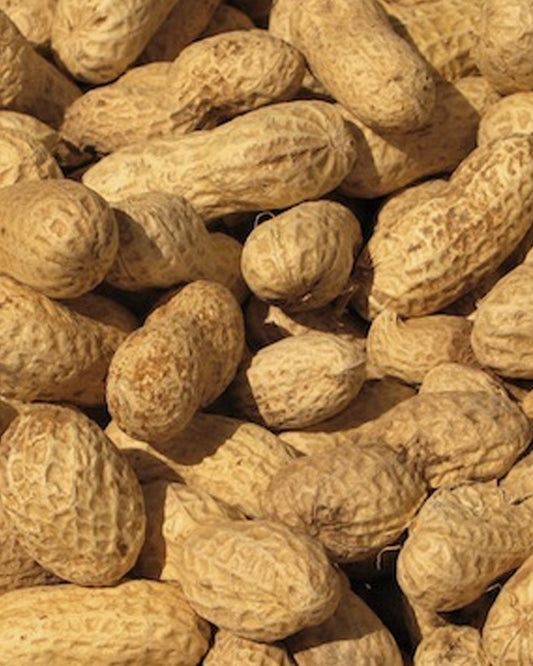 1 lb. RAW SUN DRIED PEANUTS IN SHELL